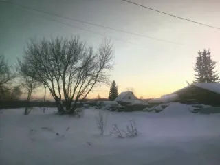 Земельный участок площадью 1498 кв.м по адресу: Алтайский край, Первомайский район, с. Первомайское, ул. Пролетарская, 37. Кадастровый номер: 22:33:020502:25. Вид разрешённого использования: 2.2. Регистрационный номер ЕГРОКН: