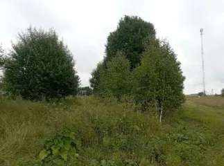 Земельный участок, площадь 1500, КН 50:18:0050205:450, Московская область. Площадь земельного участка: 1500. Кадастровый номер земельного участка: 50:18:0050205:450. Основной вид разрешенного использования: 2.2