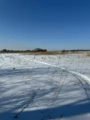 Земельный участок, площадь 1004+/11 кв.м., кадастровый (условный) номер: 27:17:0300701:882
Адрес (местонахождение): Россия, край Хабаровский, р-н Хабаровский, с Галкино, кв-л Дружный, дом 25