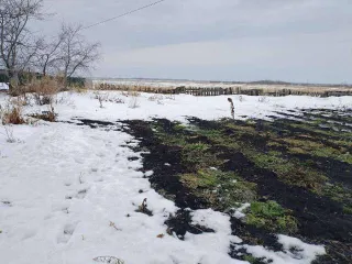 Земельный участок 1200 кв.м для ИЖС в Частоозерье, Частоозерский район, Курганская область. Категория земель: земли населенных пунктов, разрешенное использование: для индивидуального жилищного строительства. Адрес: Курганская область, р-н Частоозерский, с. Частоозерье, ул. В.Поротникова, 7Б…
