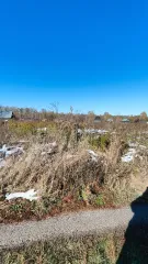 Земельный участок 2084 м² Алтайский край с кадастровым номером 22:33:042801:3384, площадью 2 084 м.кв., местоположение «Российская Федерация, Алтайский край, Первомайский район, Садоводческое некоммерческое товарищество "Новогорское", линия 7, участок № 49. В залоге у ПАО «Сбербанк».