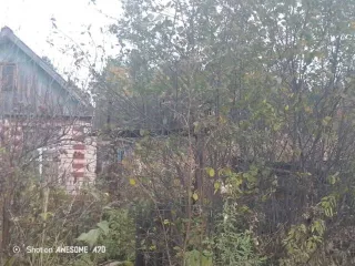 Жилой дом площадью 12,8 кв.м и земельный участок площадью 512 кв.м. Кадастровый номер дома: 66:27:1105001:330. Кадастровый номер участка: 66:27:1105001:23. Категория земель: земли населенных пунктов. Вид разрешенного использования: для садоводства.