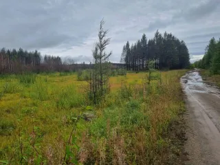 Земельный участок 2 000 004 кв.м, земельный участок 2 000 004 +/- 3 913 кв.м, общей площадью 2 000 004 +/- 3 913 кв.м, местоположение установлено относительно ориентира, расположенного в границах участка. Почтовый адрес ориентира: Забайкальский край, Читинский район, а/д Chita-Romanovka, падь…