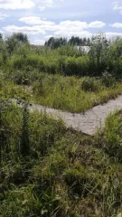 Объект незавершенного строительства площадью 85,3 кв.м, назначение: Нежилое, адрес: Россия, Нижегородская область, Городецкий район, поселок имени Тимирязева, улица Советская, дом 63, кадастровый номер: 52:15:0070321:561, вид собственности: индивидуальная. На земельном участке площадью 1500 кв.м…