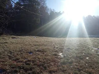 Помещение 35.6 м², Иркутская область, Зиминский район, с.Зулумай, ул.Лесная, пом.1А-2. Кадастровый номер 38:05:030603:57.