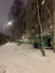 Квартира 42,4 м², Архангельск, 2 комн. Двухкомнатная квартира, расположенная по адресу: РОССИЯ, Архангельская область, Архангельск, ул. Никитова, д.9 к. 2, кв.71, с кадастровым номером: 29:22:070202:508, общей площадью 42,4 кв.м.