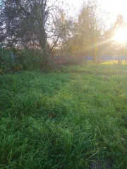 Земельный участок для ведения личного подсобного хозяйства площадью 5821 кв.м. Категория земель: земли населенных пунктов. Адрес (местонахождение): местоположение установлено относительно ориентира, расположенного в границах участка. Почтовый адрес ориентира: Республика Башкортостан, Архангельский…