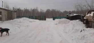 Здание 369 кв.м в Челябинской области. 1/3 доля здания. Еще 1/3 доля здания. Еще 1/3 доли в праве общей долевой собственности в объекте незавершенного строительства с кадастровым номером 74:31:0301001:245, расположенном по адресу: Челябинская область, р.п. Первомайский, ул. Известковая, д. 3…