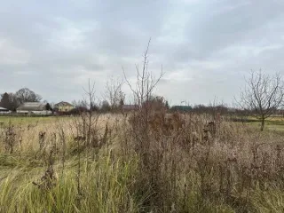 Земельный участок 1000 кв.м, Московская область. Кадастровый номер 50:39:0080201:1013. Вид разрешённого использования земельного участка: 2.2.