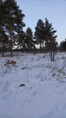 Земельный участок площадью 800 кв. м, кадастровый номер 03:24:000000:47090. Местоположение: Республика Бурятия, г. Улан-Удэ, 4-й км Спиртзаводского тракта, уч. 952. Категория земель - земли населенных пунктов, вид разрешенного использования - под строительство индивидуальных жилых домов. Основной…