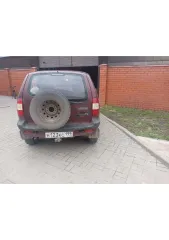 Chevrolet Niva, 2004. Автомобиль марки Chevrolet модель Niva 2004 г.в. VIN-номер X9L21230040024999. Ознакомление с имуществом производится по адресу: Тамбовская область, Петровский район, с.Волчки, ул.Сорокина, д.7, с момента публикации сообщения о продаже имущества и до окончания приема заявок по…