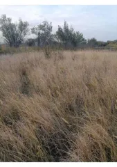 Земельный участок, 500 кв.м, Краснодарский край, г. Ейск, с/т "Виктория", дом 234, категория земель: Земли населенных пунктов, разрешенное использование: Земельные участки садоводческих товариществ, кадастровый номер: 23:42:0708002:155.