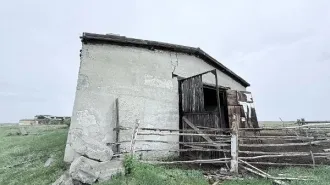 Нежилое здание 521 кв.м и земельный участок 13392 кв.м, Курганская область Нежилое, площадь 521 кв.м., кадастровый номер 45:01:011003:379, количество этажей 1, в том числе подземных 0, адрес (местоположение) объекта: Российская Федерация, Курганская область, муниципальный округ Альменевский, с…