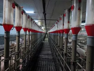 Право аренды на земельный участок, находящегося в залоге у «УМ-Банк» (ООО) в лице Конкурсного управляющего Государственной корпорации «Агентство по страхованию вкладов»;
Право аренды земельного участка. Категория земель: земли сельскохозяйственного назначения. Вид разрешенного использования: для…