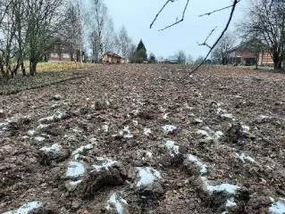 Земельный участок (кад. № 35:22:0310003:9), расположенный по адресу: РФ, Вологодская область, р-н Череповецкий, Домозеровский с/с, д. Якушево. Площадь 1800 кв.м. Категория земель: Земли населенных пунктов. Виды разрешенного использования: Для ведения личного подсобного хозяйства.