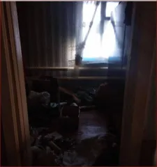 Дом 69,7 кв.м. и участок 4100 кв.м., Пензенская область. Жилое здание, площадь: 69,7кв.м., кадастровый номер: 58:08:0600401:162 и земельный участок, площадь: 4 100кв.м., категория земель: Земли населенных пунктов, разрешенное использование: Для ведения личного подсобного хозяйства, кадастровый…