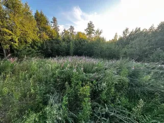 Земельный участок 814 м² Иркутская область общей площадью 814+/-6 кв.м. с кадастровым номером 38:26:015000:48, расположенный по адресу: Иркутская обл., Ангарский р-н, 5500 м.юго-западнее пос. Стеклянка, ул. Братская, уч.100