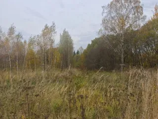 Земельный участок КН 50:05:0040401:764, 800 кв.м, Московская область. Площадь земельного участка: 800. Кадастровый номер земельного участка: 50:05:0040401:764. Основной вид разрешенного использования: 2.1