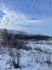 Коровник 1790,3 кв.м и земельный участок в Тамбовской области. Здание площадью 1790,3 кв.м расположено по адресу: Тамбовская область, Сампурский район, с. Гавриловка, 840 м северо-восточнее д. 2 по ул. Колхозной. Назначение: нежилое, кадастровый номер 68:17:0703003:133. Земельный участок под…