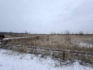 Земельный участок 600 кв.м в Московской области, городской округ Раменский, деревня Аргуново. Кадастровый номер: 50:23:0050573:1513. Площадь: 600 +/- 17 кв.м. Категория земель: сельскохозяйственного назначения. Вид разрешенного использования: для ведения садоводства.