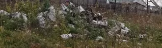 Дрова швырок, общим объемом 8,15 куб.м Дрова швырок, общим объемом 8,15 куб.м (реализация как годные остатки) 
Количество и породный состав древесины: дрова швырок, общим объемом 8.15 куб.м. 

