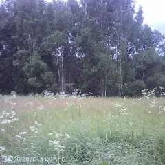 Земельный участок, 1016 кв.м, Московская область, муниципальный округ Шаховская, д. Кстилово - примерная площадь 1016 кв.м., кадастровый квартал 50:06:0090402, категория – земли населенных пунктов, расположен по адресу: Московская область, муниципальный округ Шаховская, д. Кстилово, цель…