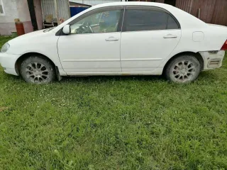Toyota Corolla 2000 года выпуска, цвет белый. Государственный номер Р102АТ04. Двигатель № 1ZZ0622290. Кузов № ZZE122-0001608. Отсутствует бампер. VIN и номер шасси отсутствуют.