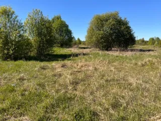 Земельный участок площадью 1891389 кв.м., кад. № 12:03:0202001:73, расположенный по адресу: РМЭ, Килемарский район, в восточной части кад.квартала №12:03:0202001 Вид разрешённого использования земельного участка: 1.0