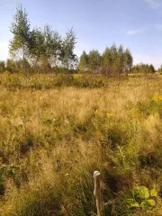 Земельный участок 2269 кв.м. для ИЖС Калужская область Земельный участок, общей площадью 2269 +/- 17 кв.м., кадастровый номер: 40:24:100213:92, виды разрешенного использования объекта недвижимости- для индивидуального жилищного строительства, расположенный по адресу: Калужская область, р-н…