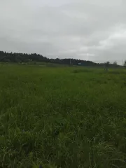 Земельный участок 1500 кв. м, доля 1/8. Архангельская область, Устьянский муниципальный район, МО «Шангальское», д. Юрятинская. Кадастровый номер: 29:18:110501:632. Категория земель: земли населенных пунктов. Вид разрешенного использования: для индивидуального жилищного строительства. Участок…