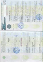 Citroen C4 2010 VIN Z8TLC5FWCAM502038 , Ханты-Мансийский автономный округ