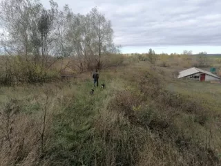 Право аренды земельного участка с кадастровым номером 64:19:080104:18 площадью 160 271 кв. м, расположенного по адресу: Саратовская область, Лысогорский район, в 1 км 375 м севернее села Чадаевка.