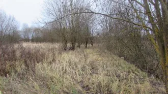 Земельный участок 1648 м², Московская область. Кадастровый номер: 50:34:0010501:6209. Вид разрешённого использования: 2.1.