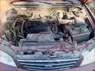 Kia Spectra 2008 года, VIN: XWKFB227280079483, гос. номер: О156НК71.