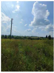 Земельный участок площадью 10911 кв. м, категория земель – земли сельскохозяйственного назначения, виды разрешенного использования – сельскохозяйственное использование (Код 1.0 Содержание и разведение сельскохозяйственных животных), кадастровый номер 18:02:000000:3197, местонахождение: Удмуртская…