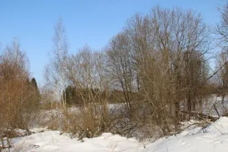 Земельный участок 2000 кв.м, Московская область, кадастровый номер 50:06:0110201:1304, основной вид разрешенного использования 2.2.