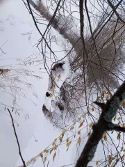 Земельный участок, площадь 550 +/- 16.0 кв.м., назначение: Земли населенных пунктов, кадастровый (условный) номер: 59:24:1990101:645
Адрес (местонахождение): Россия, Пермский край, Кунгурский, с.Плеханово, Мира, дом 21
