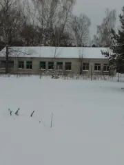 Здание нежилое под демонтаж пищеблок, 237.9 м², 1967 г., регион не указан. Год ввода в эксплуатацию: 1967. Количество подземных этажей: 0. Вид ограничений и обременений: нет. Общая площадь: 237.9. Кадастровый номер: 32:08:0340195:89. Назначение здания: нежилое. Количество этажей: 1. Общие сведения…