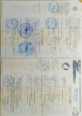 Suzuki Escudo 2002 года выпуска, номер кузова TL52W153975.