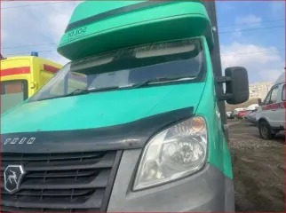 ГАЗ EL NEXT A21R22, 2013 года. Автомобиль грузовой, марка: ГАЗ, модель: A21R22, VIN: X96A21R22D2549041, гос. рег. номер: О020ХХ68, год изготовления: 2013. ТС находится в залоге у Банка ВТБ (ПАО).