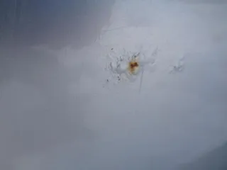 Автомобиль LADA NIVA 212300-55, 2020 года выпуска, VIN X9L212300L0712282, цвет серый. Пробег: 95034. Вид транспорта: категория В. Объем двигателя: 1690. Мощность двигателя: 58,5. Экологический класс: пятый.