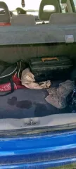 Nissan Almera, 2000 года, 75 л.с., АКПП, автомобиль Nissan Almera, 2000 г.в., VIN: SJNFAAN16U0139083, цвет синий, тип двигателя бензиновый, объем двигателя 1498 куб. см, г.н. Т169АЕ 550RUS.
