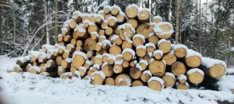 Годные остатки: древесина породы «ель», 438,41 куб. м. Реализуется в качестве годных остатков, а также в качестве вторичного сырья, лома, утиля. Описание лота см. в разделе "документы" п. 3 извещения (информационного сообщения). Имущество продается в том виде, в каком оно есть, и в случае продажи…