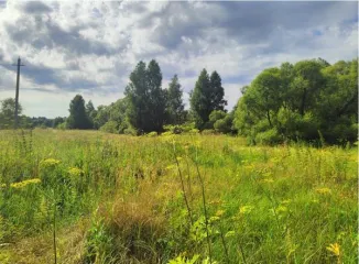 Земельный участок площадью 3100 кв.м. Тамбовская область, Тамбовский муниципальный округ, с. Большая Талинка, ул. Ворошилова, земельный участок 9. Кадастровый номер: 68:20:0000000:5862. Расположен в границах кадастровых кварталов 68:20:0802001 и 68:20:0806001. Земли населенных пунктов, разрешенное…