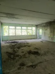 Нежилое здание 2475.6 кв.м и земельный участок 20107 кв.м, Орловская область, Глазуновский район, д. Гремячево, ул. Школьная, д.2. Кадастровый номер здания: 57:16:0130101:141, назначение: нежилое. Кадастровый номер земельного участка: 57:16:0130102:166. Год ввода в эксплуатацию: 1985. Количество…