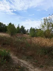 1/4 доля земельного участка 600 кв.м, ИЖС, Тамбовская обл, Моршанск. 1/4 доля в праве на земельный участок, площадь: 600кв.м, кадастровый номер: 68:27:0000151:290, категория земель: земли населенных пунктов, вид разрешенного использования: для индивидуального жилищного строительства, адрес…