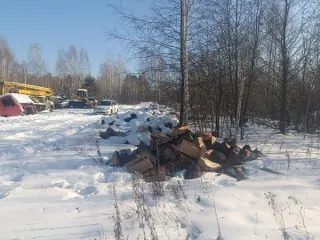 Чурки лиственницы 2,912 куб.м от сырорастущих деревьев.