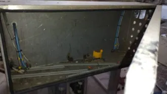 Автомат ТР-110