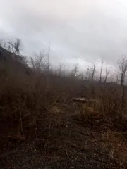 1/2 доли здания и земельного участка в СНТ "Электродчик" (24 кв.м и 447 кв.м), Челябинск, кадастровый (условный) номер 74:36:0109001:205, место нахождения: Россия, г. Челябинск, СНТ "Электродчик", уч. № 90, площадь 447 кв.м. и 1/2 доли в праве общей долевой собственности на нежилое здание, площадь…