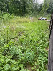 Земельный участок площадью 600 кв.м. Назначение: земли населенных пунктов. Адрес: Россия, Псковская область, Псковский район, деревня Дуброво. Кадастровый номер: 60:18:0110501:490. Ознакомление с имуществом производится с понедельника по пятницу с 09:00 до 18:00 по предварительной договоренности по…